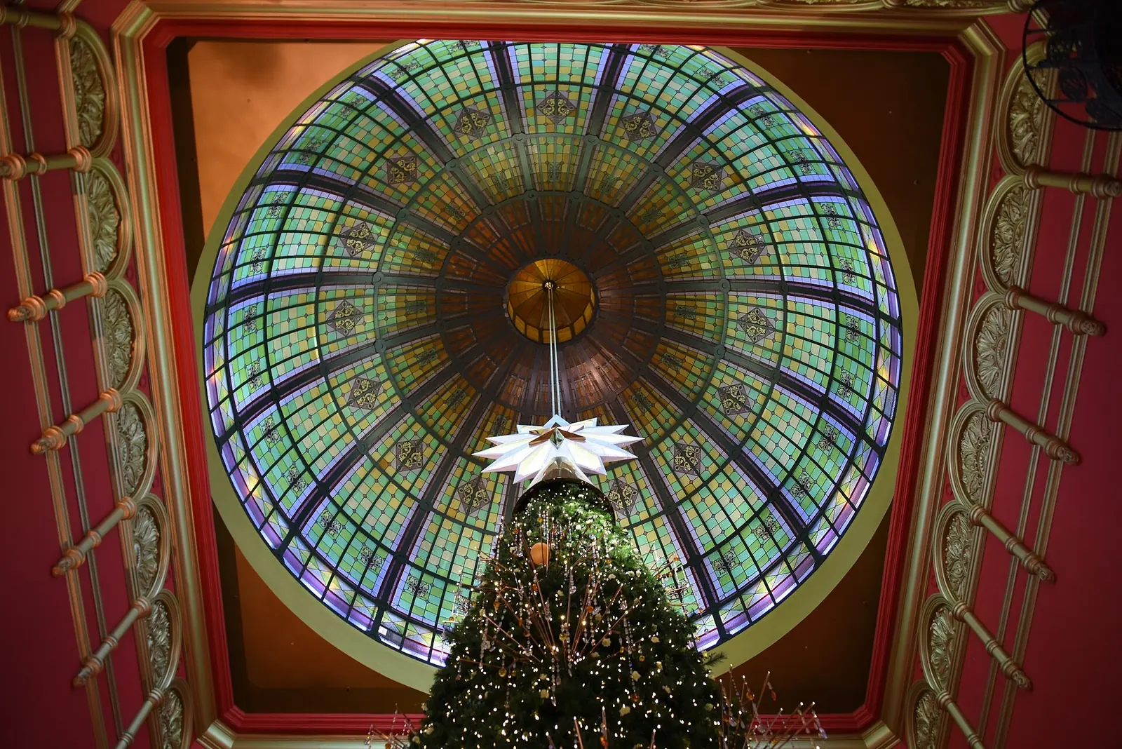 Queen Victoria Building dome and Christmas tree