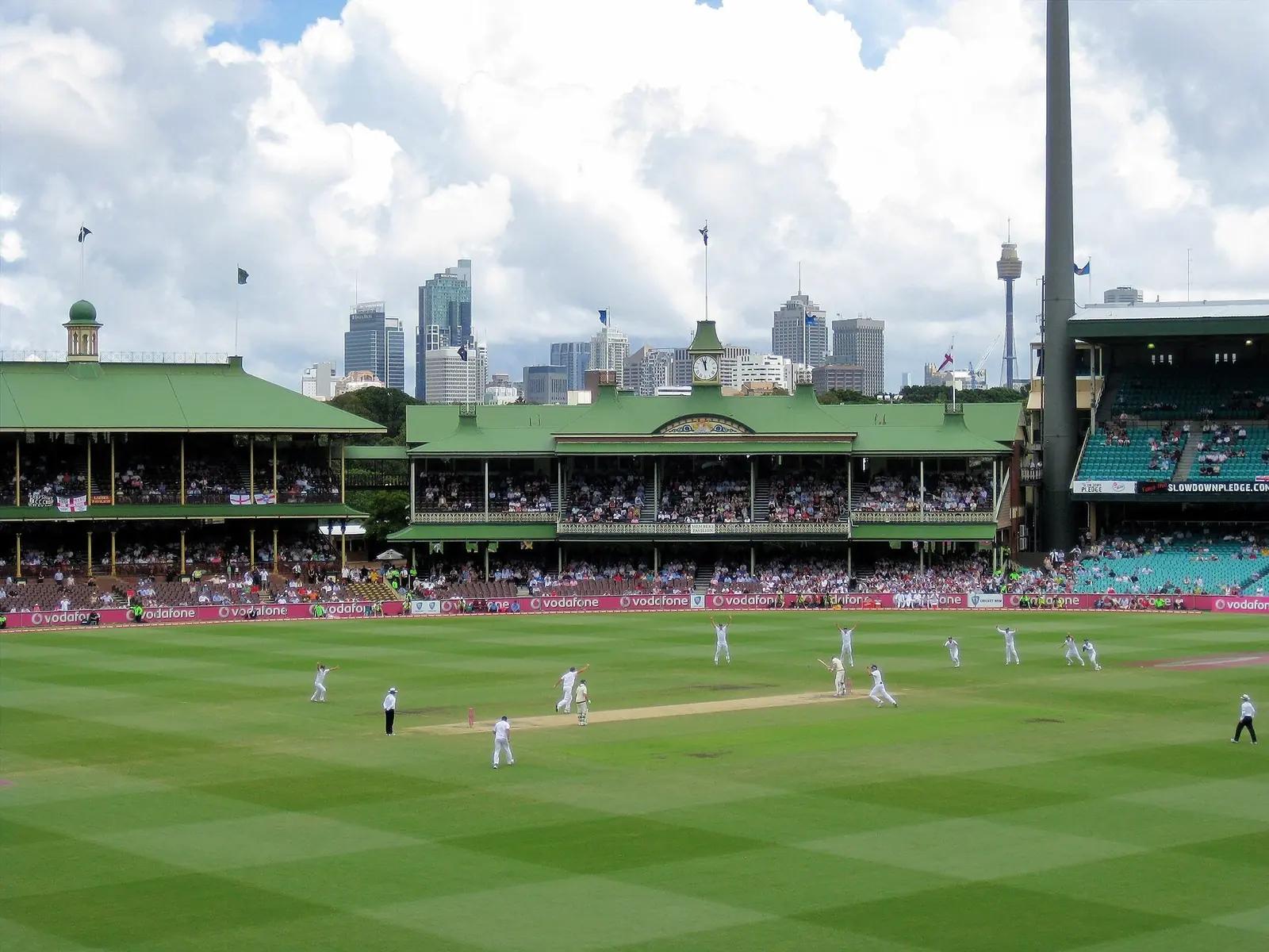 Cricket at the SCG this summer