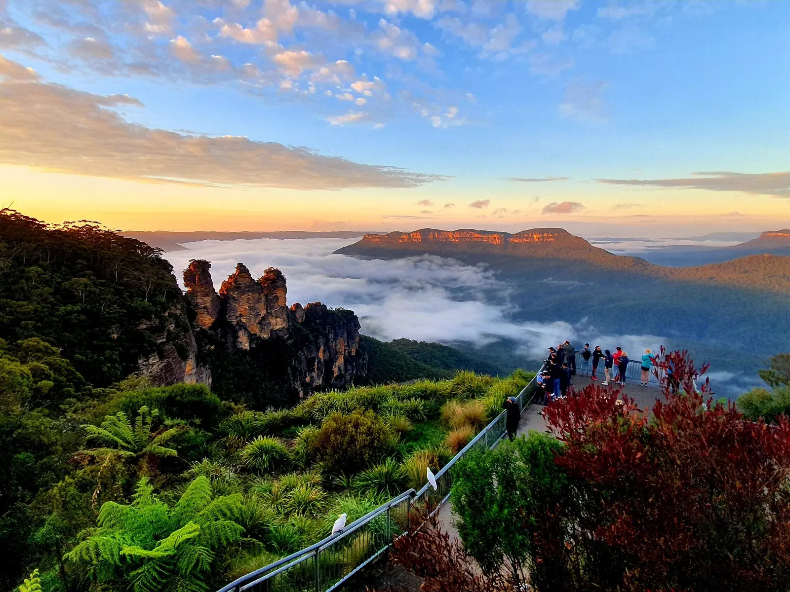 Days 6 and 7: the Blue Mountains and a day your way