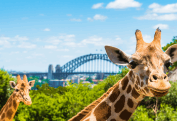 Taronga Zoo
