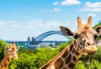 Taronga Zoo