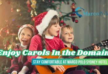 Stay comfortable Marco-Polo-Sydney