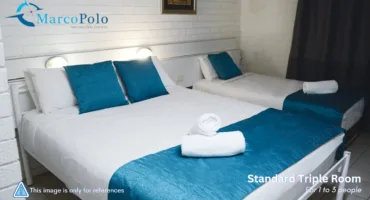 Standard + 3 single room