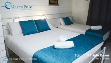 Standard + 3 single room