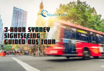 3 hour bus tour Sydney