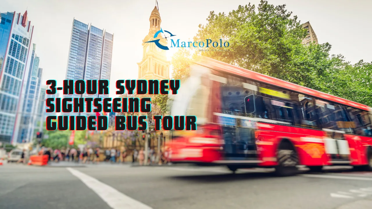 3 hour bus tour Sydney