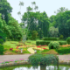 Sydney Garden